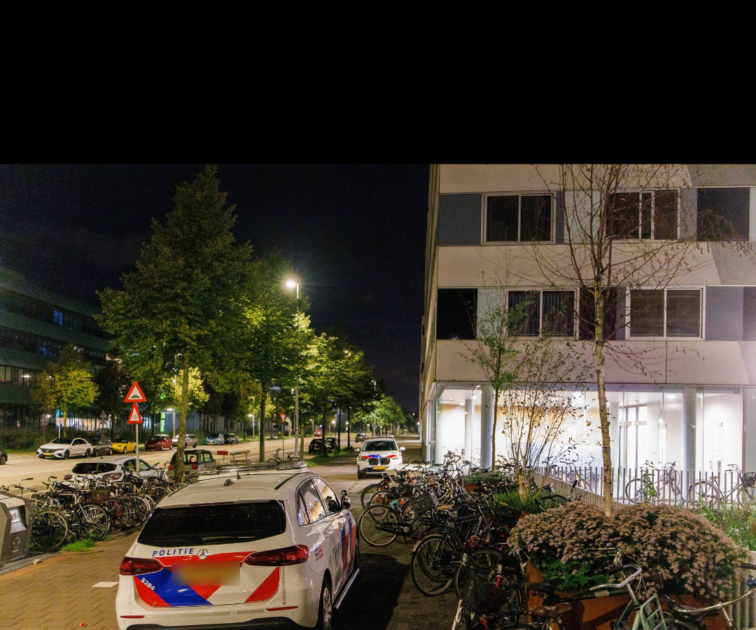 Volledig-scherm fotoweergave vanuit een nieuwsbericht